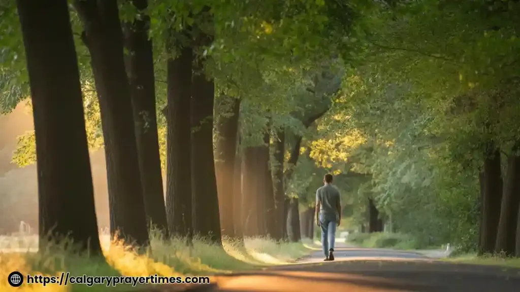 A peaceful morning walk on a tree-lined path in natural sunlight a small daily habit that genuinely improves mental health and mood.