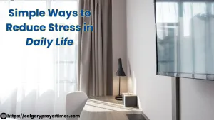 Calm and peaceful home environment with sunlight.